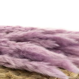 Getrocknete Mini-Pampa Lavender Lane (x20)