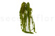 Amaranto Extra stabilizzato - Verde Chiaro 4