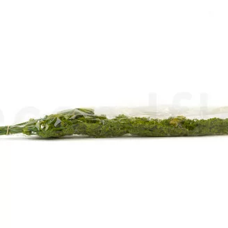 Amarante stabilis&eacute;e Vert Clair