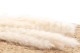 Mini Pampa seca - 20 Unidades - Meringue 8