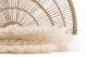 Dried Mini Pampa - 20 Units - Meringue 2