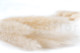 Mini Pampa seca - 20 Unidades - Meringue 5