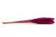Dried Mini Pampa Raspberry (x20) 3