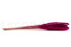 Mini-pampa getrocknet - 20 Stück - Raspberry 3