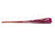 Dried Mini pampa - 20 Units - Raspberry 9