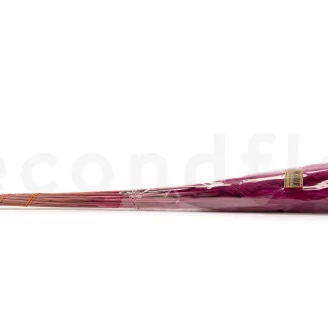 Dried Mini Pampa Raspberry (x20)