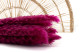 Dried Mini pampa - 20 Units - Raspberry 2
