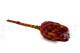Protea Grandiceps stabilizzata - 1 Stelo - Rosso 7
