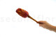 Protea Grandiceps Stabilized - 1 Stem - Red 6