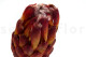 Protea Grandiceps séchée - 1 Tige - Rouge 9