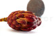 Protea Grandiceps Stabilized - 1 Stem - Red 2