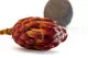 Protea Grandiceps essiccata Rosso 2