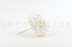 Stabilized Hydrangea - White 5