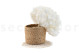 Stabilized Hydrangea - White 3