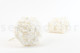Hortensia Stabilisé - Blanc 6