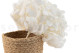 Stabilized Hydrangea - White 7