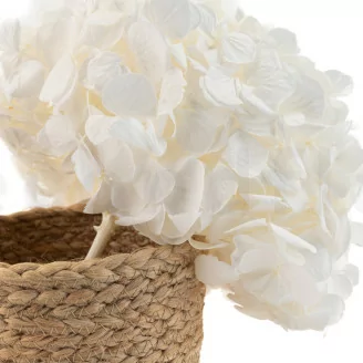Preserved Hydrangea White