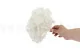 Ortensia stabilizzata Bianco 4