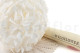 Stabilized Hydrangea - White 2