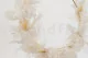 Hortensia preservada Blanco 9