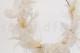 Hortensia Stabilisé - Blanc 9