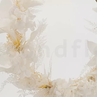 Preserved Hydrangea White