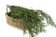 Eukalyptus Nicoly Stabilisiert - Grün 8