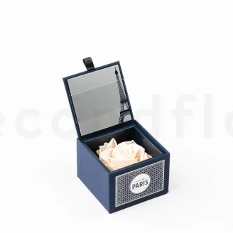 Coffret Rose stabilis&eacute;e Ville de Paris Rose