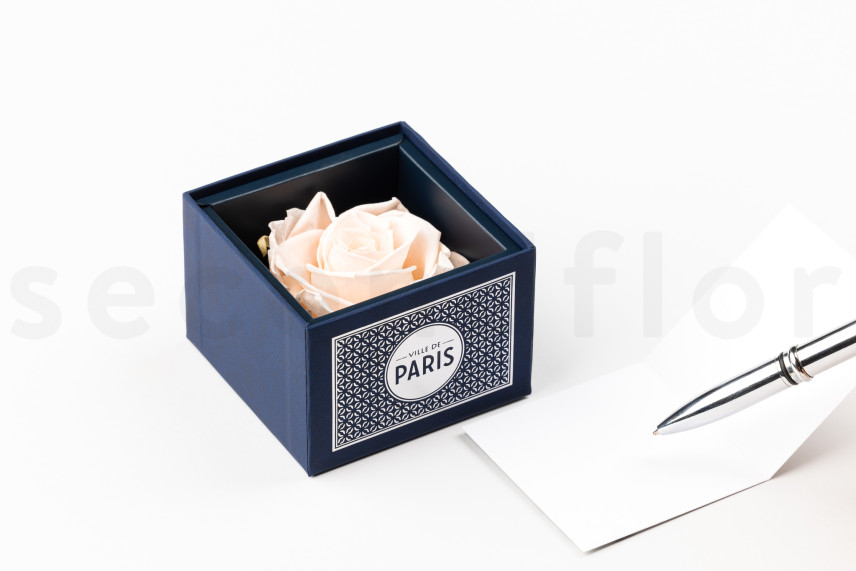 Preserved pink rose in a Ville de Paris box