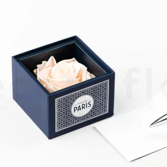 Preserved rose in a "Ville de Paris" box Pink