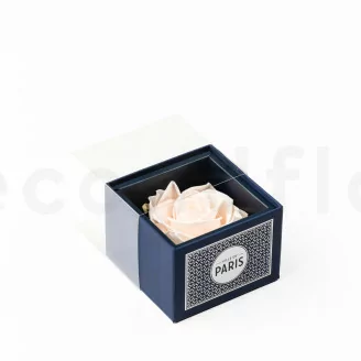 Geschenkset mit konservierten Rosen &bdquo;Ville de Paris&ldquo; Rosa
