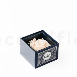 Preserved rose in a "Ville de Paris" box Pink