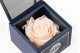 Rosa preservada rosa en una caja Ville de Paris 3