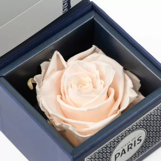 Geschenkset mit konservierten Rosen &bdquo;Ville de Paris&ldquo; Rosa