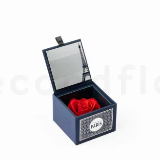 Preserved rose in a "Ville de Paris" box Red