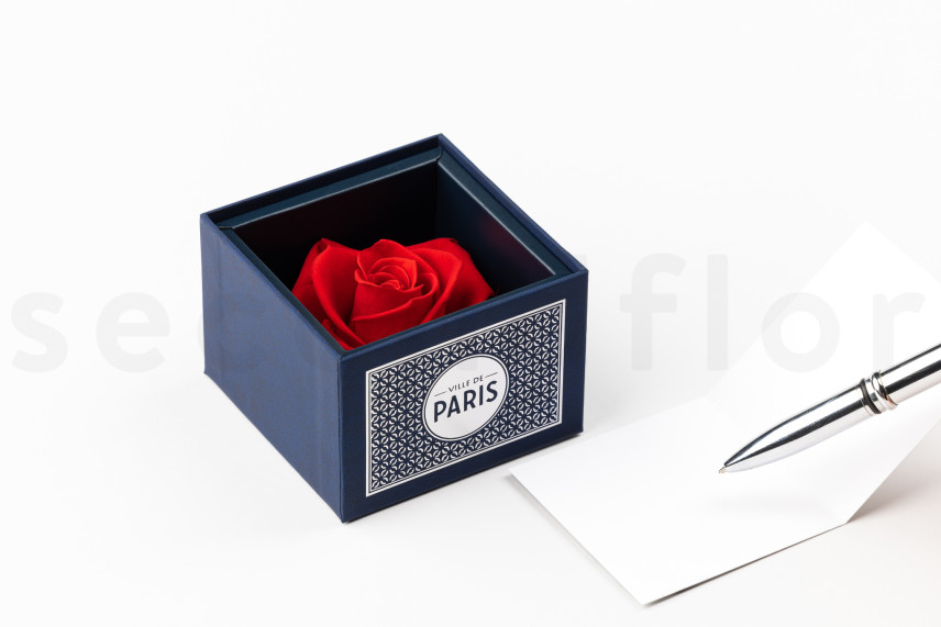 Rosa preservada roja en una caja Ville de Paris