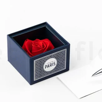 Scatola con rosa stabilizzata &ldquo;Ville de Paris&rdquo; Rosso