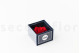 Preserved red rose in a Ville de Paris box 6