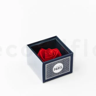 Coffret Rose stabilis&eacute;e Ville de Paris Rouge