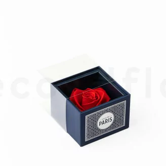Geschenkset mit konservierten Rosen &bdquo;Ville de Paris&ldquo; Rot