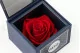 Coffret Rose stabilis&eacute;e Ville de Paris Rouge 3