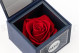 Rosa preservada roja en una caja Ville de Paris 3