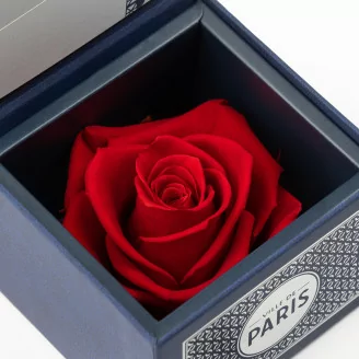 Geschenkset mit konservierten Rosen &bdquo;Ville de Paris&ldquo; Rot