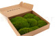 Mood Moss preservato - Scatola - Light Green 3