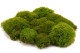 Mood Moss preservato - Scatola - Light Green 8