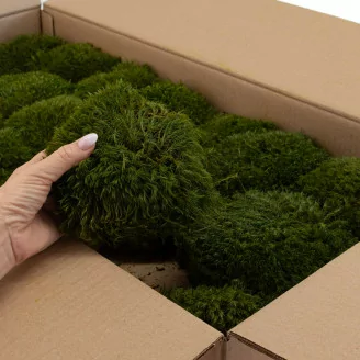 Mood Moss Nature Green stabilis&eacute;e (Carton)
