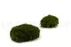 Mood Moss preservado Nature Green (Cart&oacute;n a granel) 4