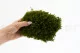 Preserved Mood Moss Nature Green (Bulk Box) 6