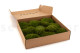 Mood Moss preservato - Scatola - Nature Green 2