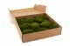 Preserved Mood Moss Nature Green (Box) 3